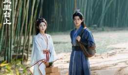 凤凰电视剧,传奇剧作中的命运交响